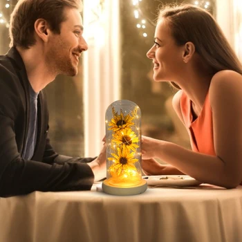 Kāzu Mājas iekārtojumam Žāvēti Saulespuķu Banketu Ziedi Stikla Kupola Stīgu Gaismas Valentīna Diena Dāvanu