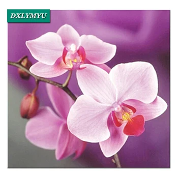 Jauns Diy Dimanta Izšuvumi ziedi Dimanta Krāsošana kvadrātveida Dimanta Mozaīkas Izšuvumi skaistu orhideju, Mājas Apdare, Krāsošana