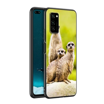 Cute baby meerkat Silikona Tālruni Gadījumā, Huawei P30 P20 P40 Lite E Pro P Smart Z Plus 2019 P9 P10 Lite Melns Segt