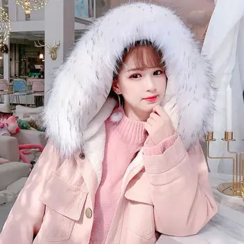 2020 jaunu rozā jēra plīša īsu džinsa jaka sieviešu korejas zaudēt plus samta polsterēta kokvilna kokvilnas mētelis-polsterēta jaka