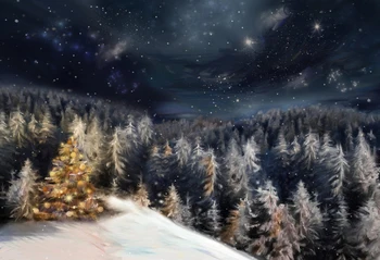 Horizontālā ziemassvētku rotājumi fotogrāfija backdrops ziemassvētku fona attēlu fona ziemassvētku fona XT-5987