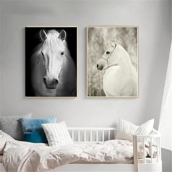 Vienkārši Ziemeļvalstu Reāli Balts Zirgs Melnā un Baltā Dzīves Telpu Krāsošana Dekoratīvā Krāsošana Dzīvnieku plakātu sienas audekls drukāt