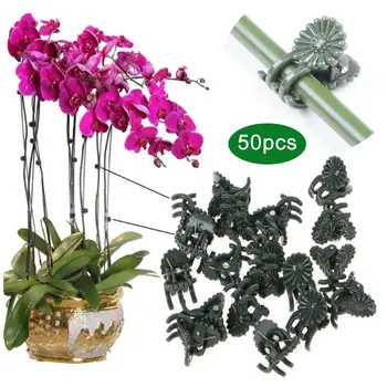50GAB Plastmasas Augu Klipus Augu Orhideju Atbalsta Klipus Ziedu Vine Klipi, kas Atbalsta Izriet Vīnogulāji Aug Stāvus, Dārza Piederumi