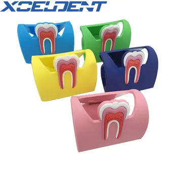 5gab Zobārstniecības Kartes Turētāju Krāsaini Gumijas Molāro Zobu Formu Tālruņa Karti atmiņas Displejs Stāvēt Labākais Zobārsts Dāvanu Klīnika