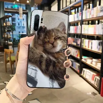 Cute kaķēns Tālruni Gadījumā, Huawei honor Mate P 9 10 20 30 40 Pro 10es 7 8 x Lite nova 5t