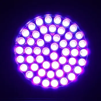 51 LED UV Lāpu Gaismas 395nm Daudzfunkciju Uv Lukturīti Pet Urīna Traipu Detektors Scorpions Pārbaudes