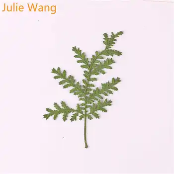 Julie Wang 12PCS Dabas Žāvēti Artemisia Annua Zāle Augu Paraugu Epoksīda Rotaslietu izgatavošana Piederumu Telefonu Gadījumā Apdare