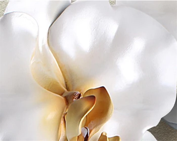 Beibehang Custom lielu 3D tapetes-3d luksusa zelta rotaslietas, Phalaenopsis foto sienas sienas tapetes Mājas apdare tapetes, 3d
