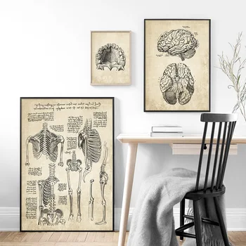 Sienas Mākslas Audekls Gleznošanai Anatomija Skelets Ziemeļvalstu Plakāti Un Izdrukas Vintage Sienas, Attēlus Slimnīcas Ārstu Birojs Dekori