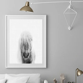 Sienas Mākslas Dekoru Zirgu Mūsdienu Fotogrāfija Attēlu Audekls Gleznošanai Melna Balta Dzīvnieku Zirgu Plakāti un Izdrukas par dzīvojamo Istabu Mājas