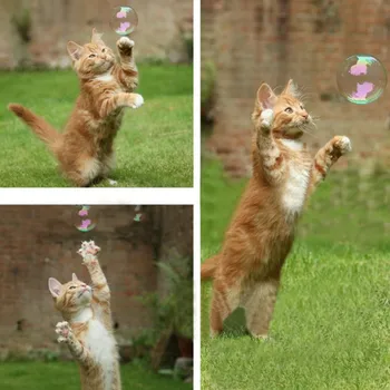 1gb Dabas Catnip Burbuļi Kaķi-go-traks Mentola Aromāts, kas Pūš Burbuļus Kaķis Ārstēt Rotaļlietas AB