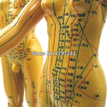 Meridian modelis cilvēku akupunktūras punktus cilvēka ķermeņa modeli 48cm Medicīnas Izglītības Iekārtas sieviete Augstas Kvalitātes