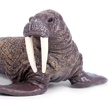 Jūras Dzīvi Dzīvnieki Valzirgu Modelis Figūriņas Simulācijas Modeļi Rotaļlietas