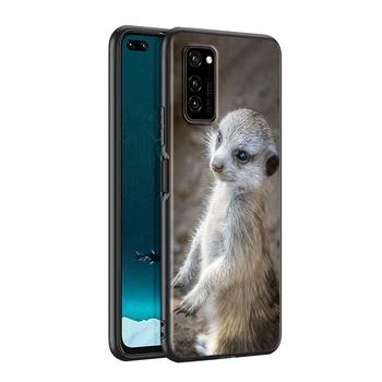 Cute baby meerkat Silikona Tālruni Gadījumā, Huawei P30 P20 P40 Lite E Pro P Smart Z Plus 2019 P9 P10 Lite Melns Segt