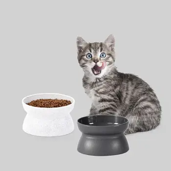 Pet Pakārtotā Izvirzīja Kaķis Ir Pārtikas Bļoda Kaķēns Stresa Bezmaksas Dubultā Sānu Izmanto Barošanas Trauku