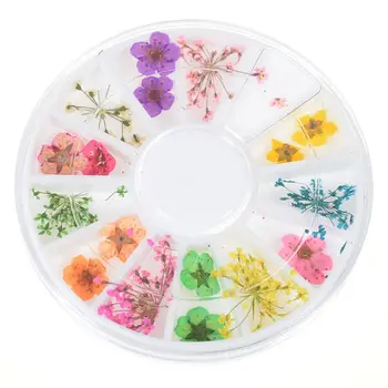12 Krāsas, Īsta Dabas Ziedlapiņu Kaltētas, Sausas Ziedu Padomus 3D Nail Art Riteņu Apdares Nagu Rotaslietas UV Gēla skaistums Manikīra Instrumenti,