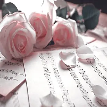 Aizkaru Rozā Rozēm Mūzikas Piezīmes Vintage Romantisku Motīvu Foto Izdrukāt