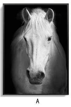 Vienkārši Ziemeļvalstu Reāli Balts Zirgs Melnā un Baltā Dzīves Telpu Krāsošana Dekoratīvā Krāsošana Dzīvnieku plakātu sienas audekls drukāt