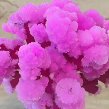 2019 Japāna Rozā Liels Burvju Augt Papīra Sakura Koks Maģiski Augošu Koku Komplekts Desktop Cherry Blossom Ziemassvētku Zinātnes Bērnu Rotaļlietu