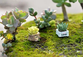 Mini Apdare Accessori Kaktuss Augu Spilgti Mini Mākslīgā Mīkstus Kaktuss Augu, Ainavu Dekoratīvās Home Decoration #Y10