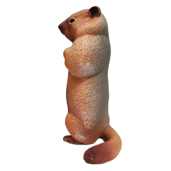 Groundhog Modeli Dzīvnieku Statuetes Reāli Dekoratīvi Apdares Bērniem Rotaļlietas